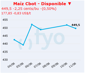 Maíz cbot