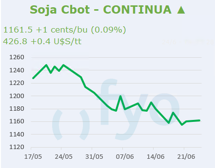 Soja CBOT