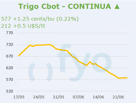 Trigo CBOT