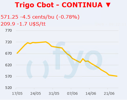 Trigo CBOT