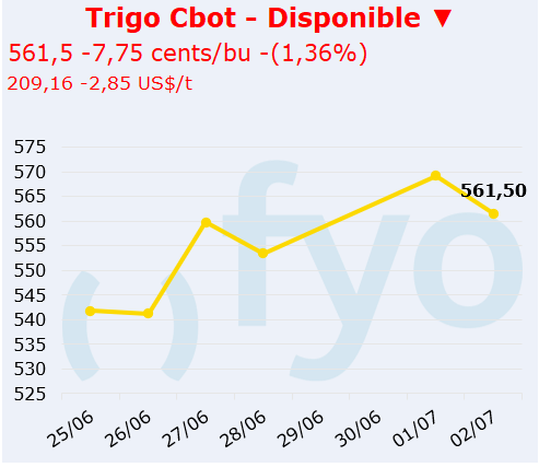 trigo cbot
