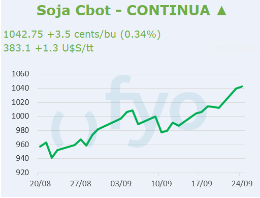 Soja CBOT