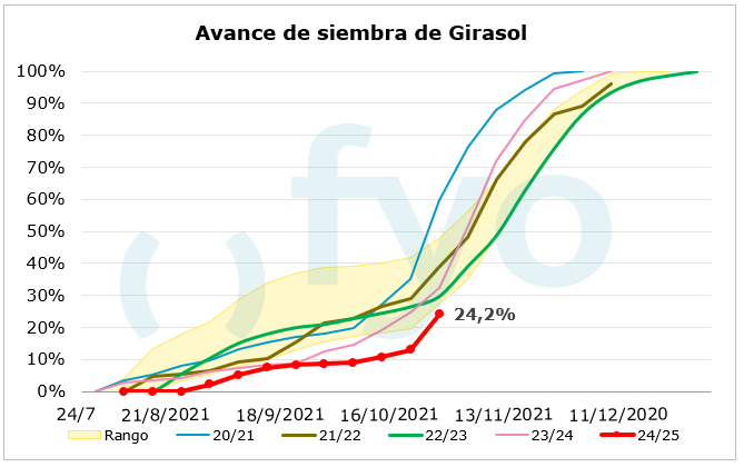AVANCE SIEMBRA GIRASOL