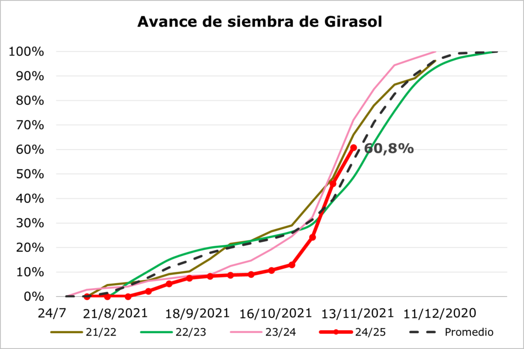 AVANCE SIEMBRA GIRASOL