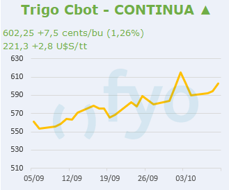 Trigo CBOT