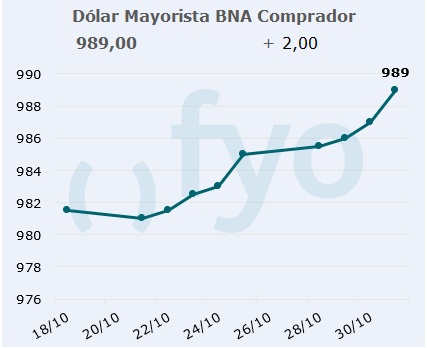 dolar bna