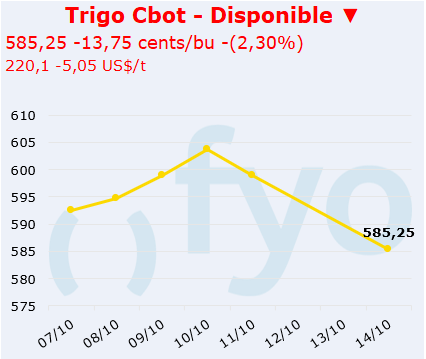 trigo cbot
