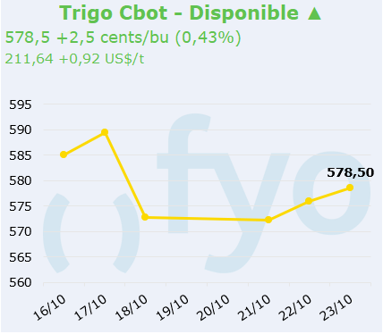 trigo cbot