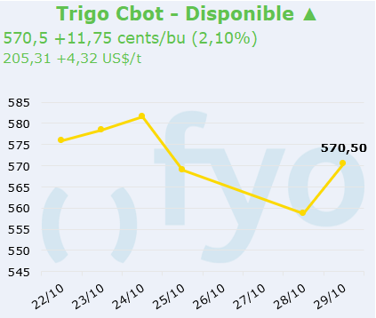 trigo cbot