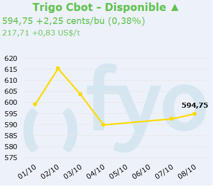 trigo cbot
