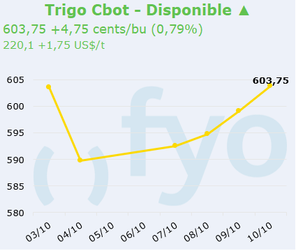 trigo cbot
