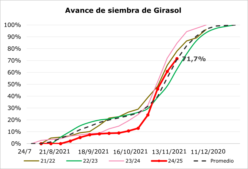 AVANCE SIEMBRA GIRASOL