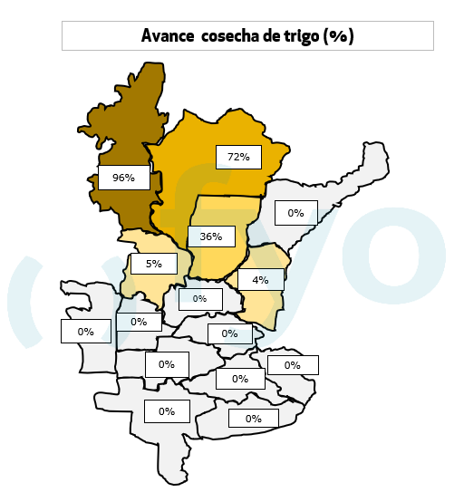 Mapa trigo avance cosecha