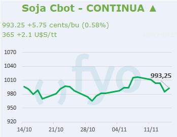 Soja CBOT