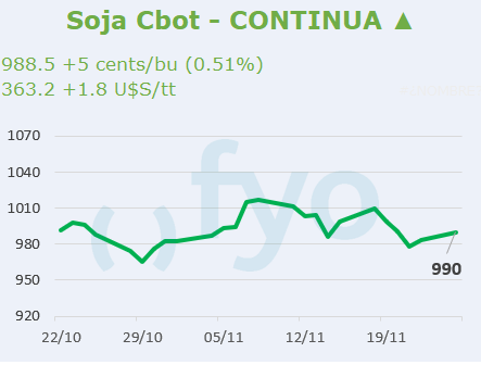 Soja CBOT