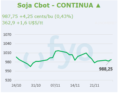 Soja CBOT