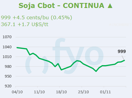 Soja CBOT