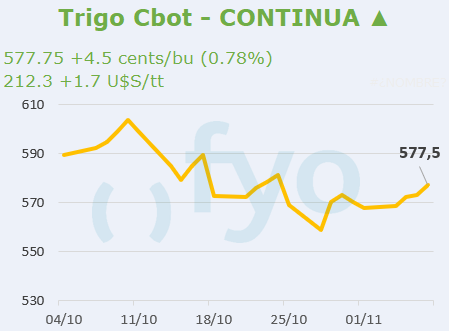 Trigo CBOT