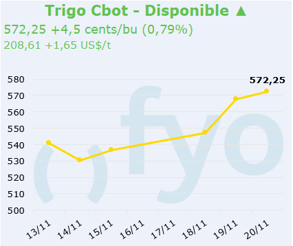 trigo cbot