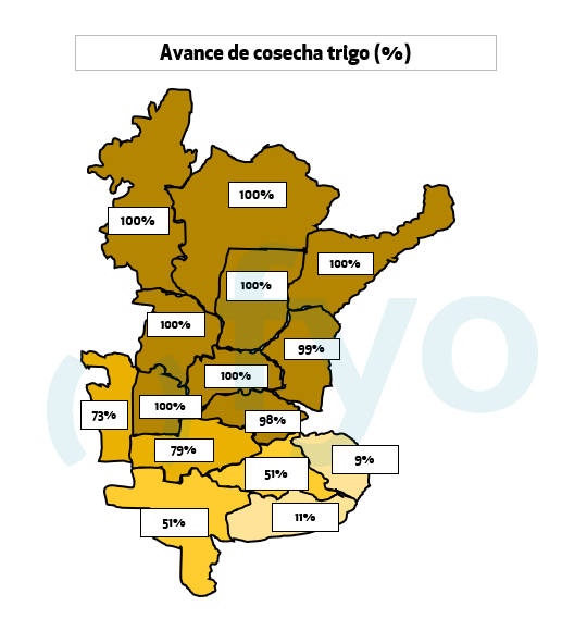 Mapa trigo avance cosecha