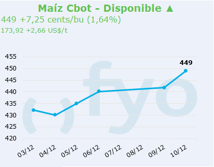 maiz cbot