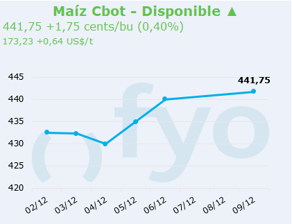 maiz cbot
