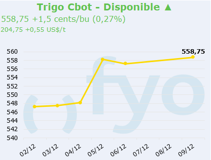 trigo cbot