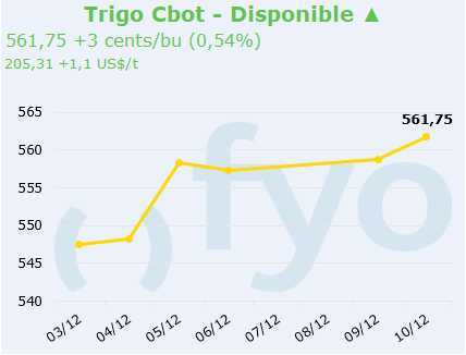 trigo cbot
