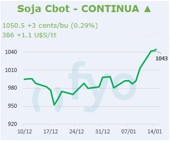 Soja CBOT