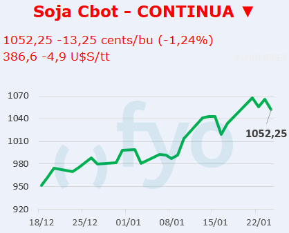 Soja CBOT