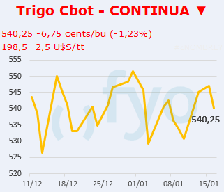Trigo CBOT