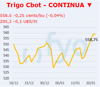 Trigo CBOT