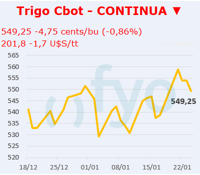 Trigo CBOT