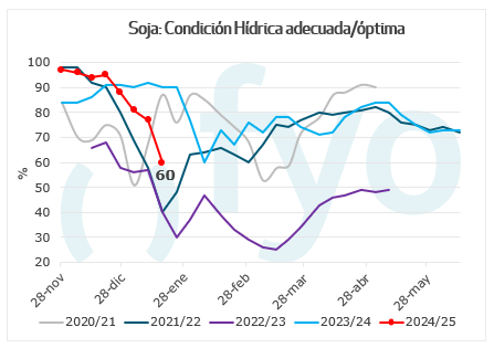 condicion hidrica soja