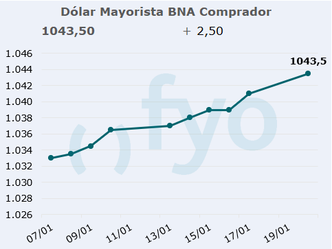 dolar bna