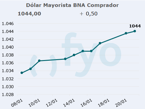 dolar bna