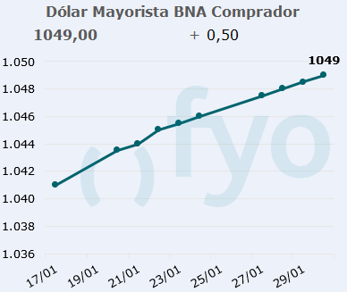 dolar bna