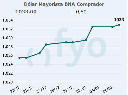 dolar bna