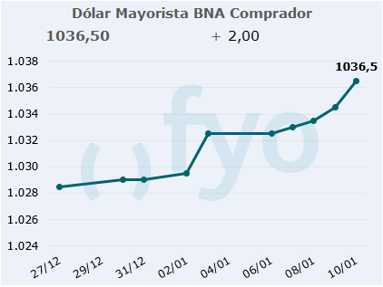 dolar bna