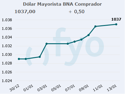 dolar bna