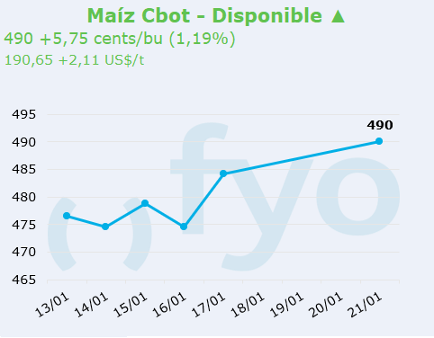maiz cbot