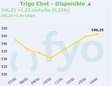 trigo cbot