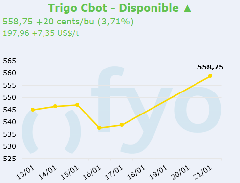 trigo cbot