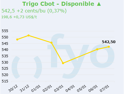 trigo cbot