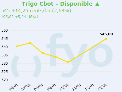 trigo cbot