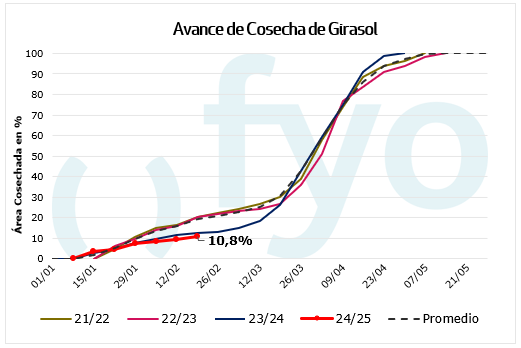 AVANCE SIEMBRA GIRASOL
