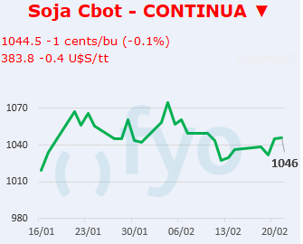 Soja CBOT