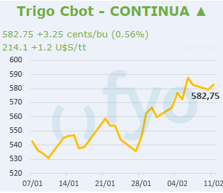 Trigo CBOT