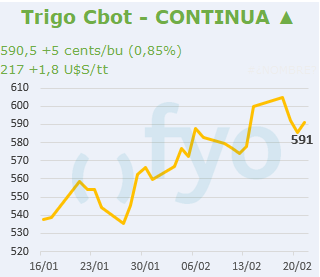 Trigo CBOT