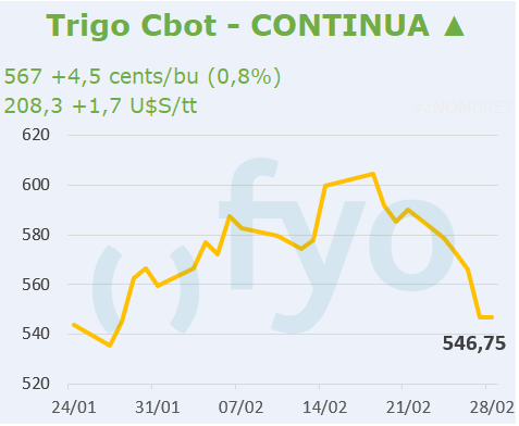 Trigo CBOT